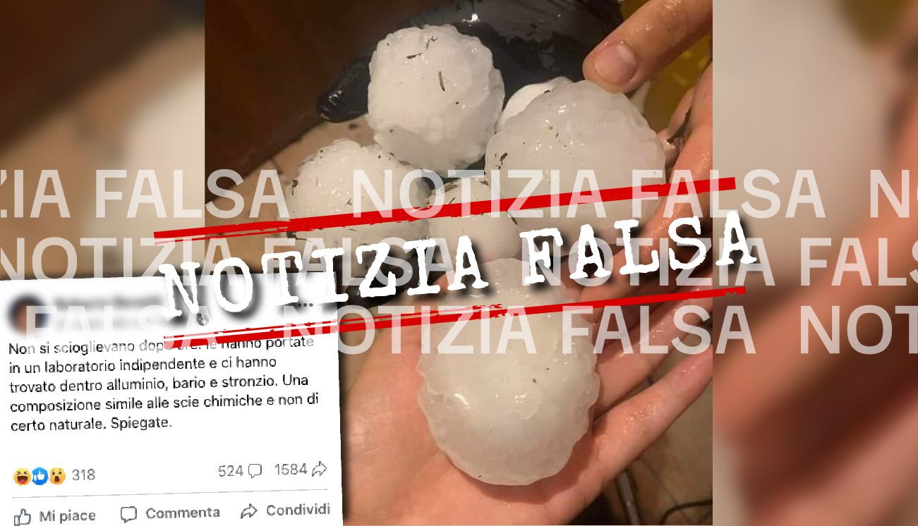 Notizia Falsa