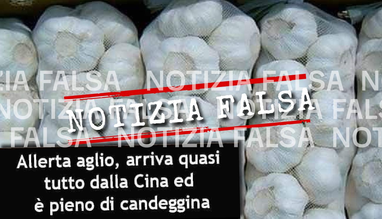 Notizia Falsa