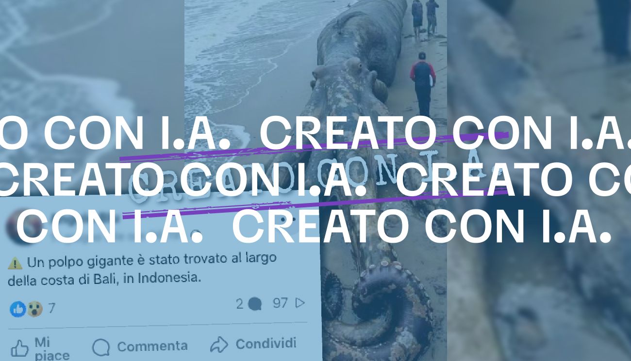 La foto del «polpo gigante in Indonesia» non è reale