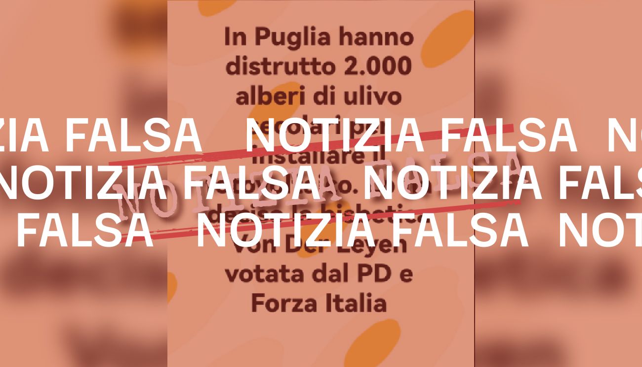 Von Der Leyen non ha autorizzato la distruzione di 2.000 ulivi in Puglia per “installare il fotovoltaico”