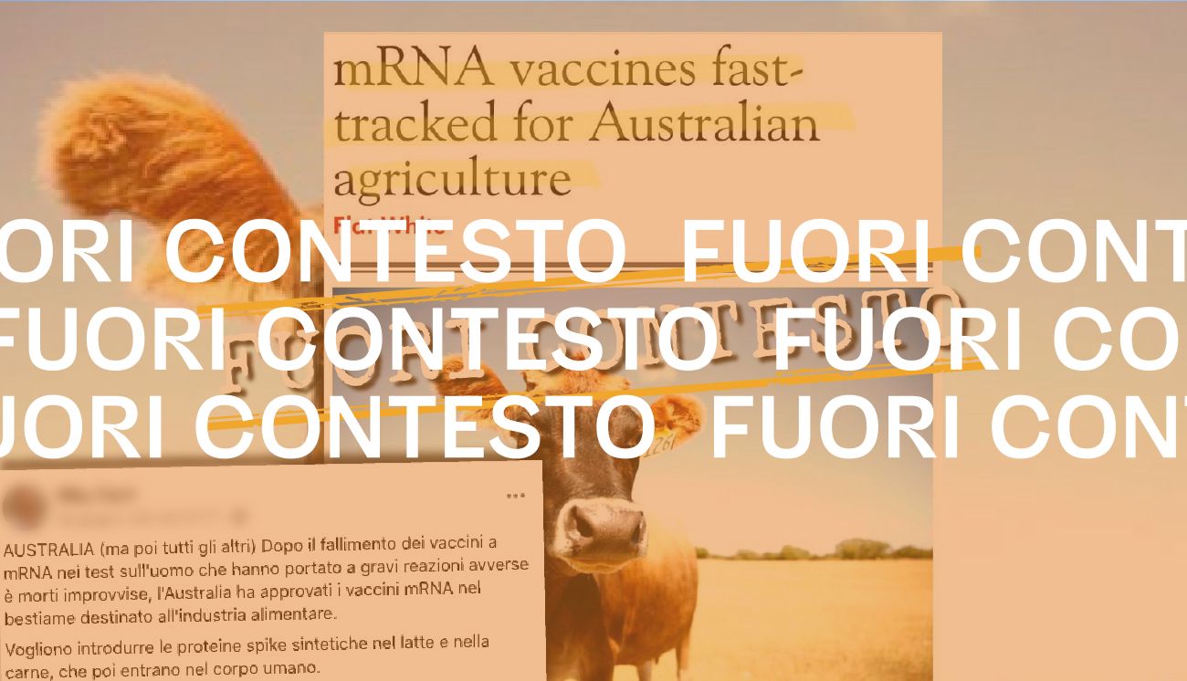 No, l’Australia non ha approvato i vaccini a mRna per il bestiame destinato all&#8217;industria alimentare