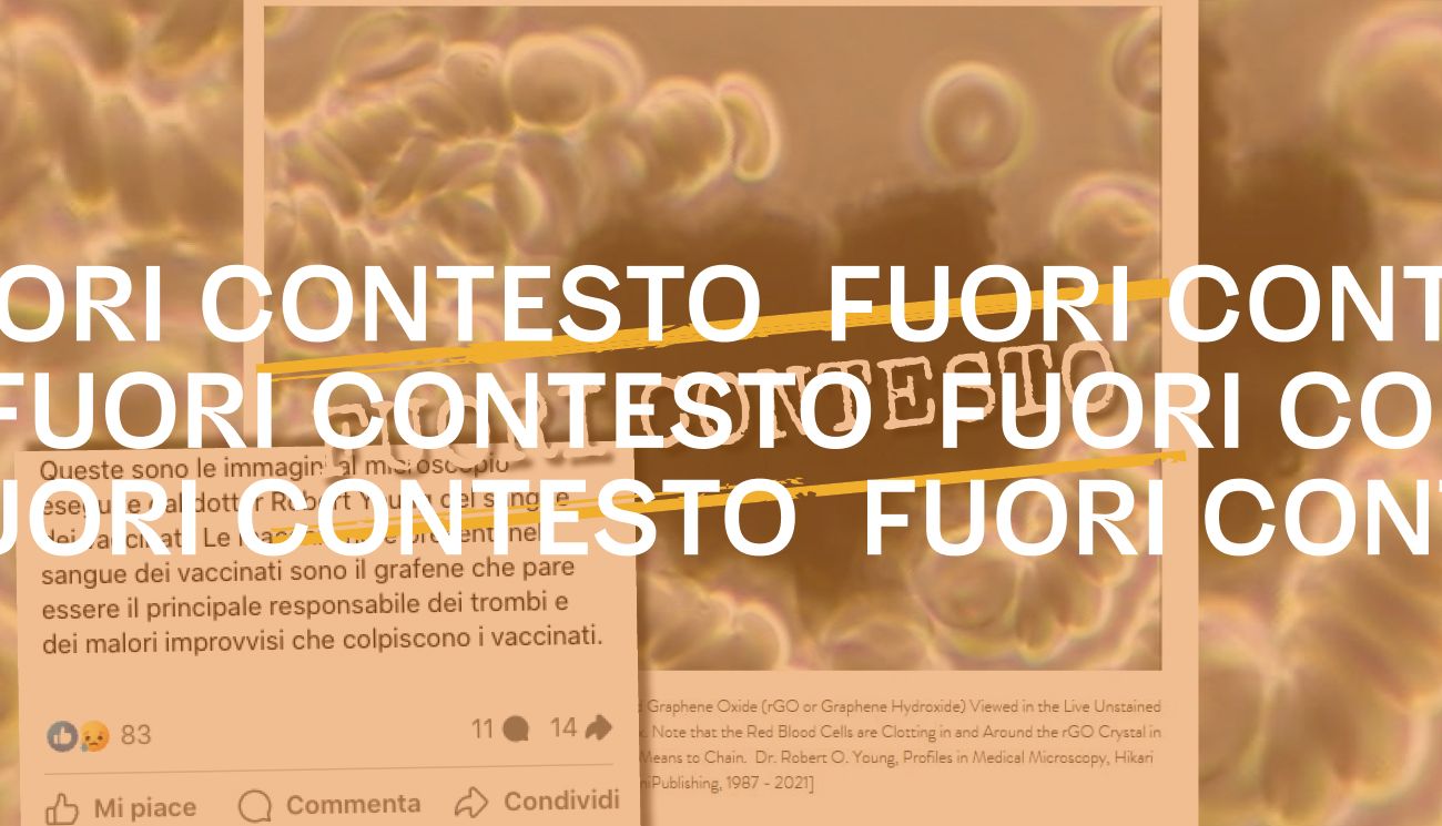 Questo documento non dimostra la presenza di grafene e parassiti nei vaccini anti-Covid-19