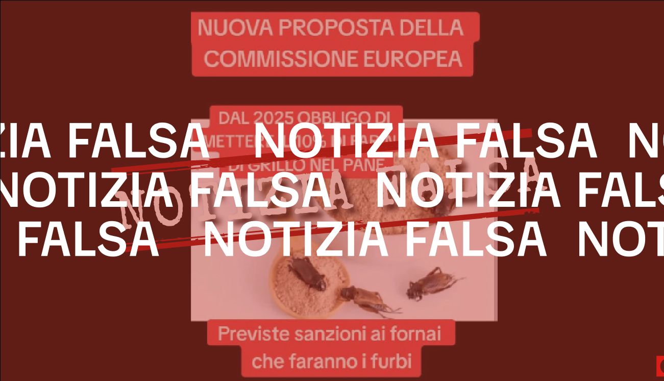 No, la Commissione europea non vuole obbligare i fornai a usare la farina di grillo