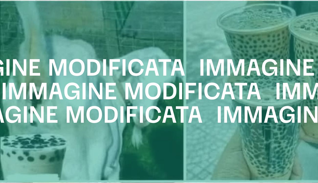 Immagine Modificata