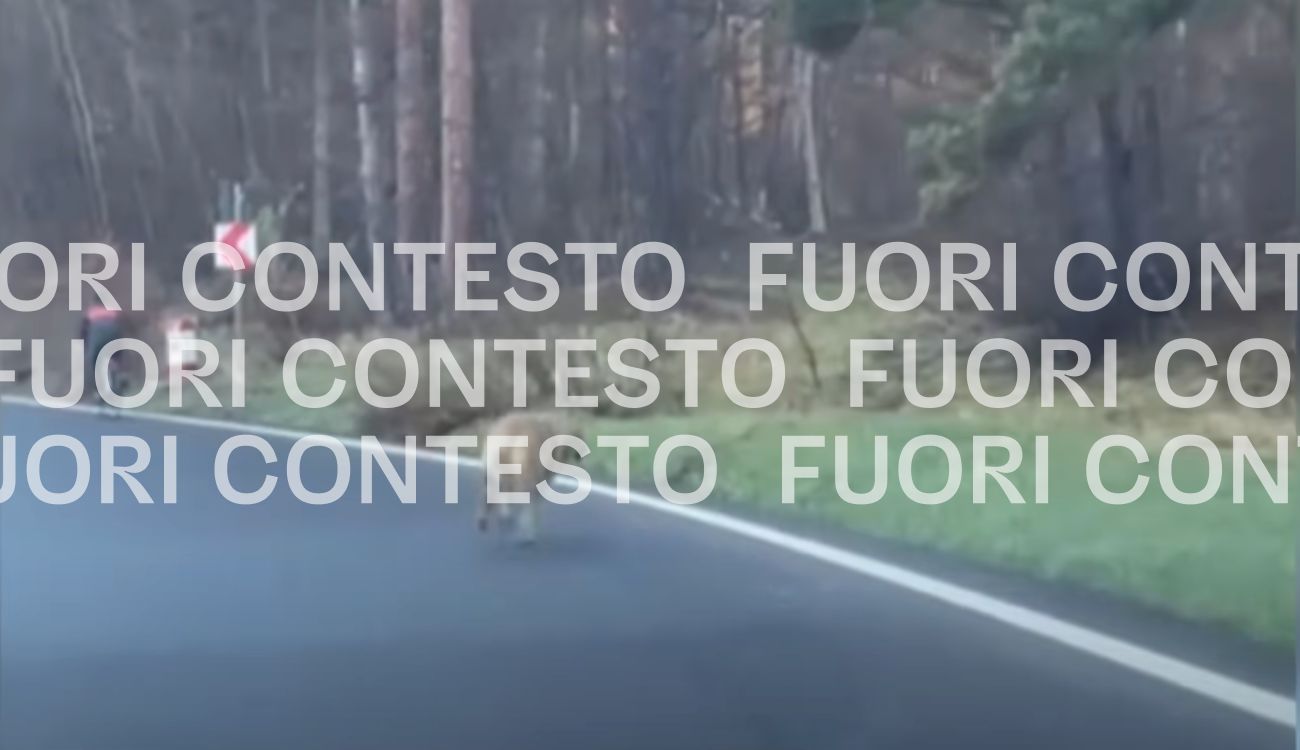 Fuori Contesto