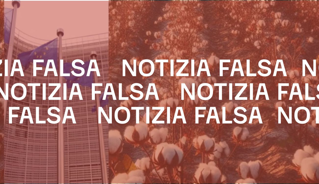 L’Unione europea non vuole vietare la produzione di cotone