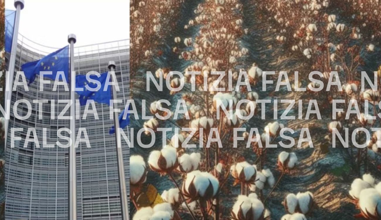 Notizia Falsa