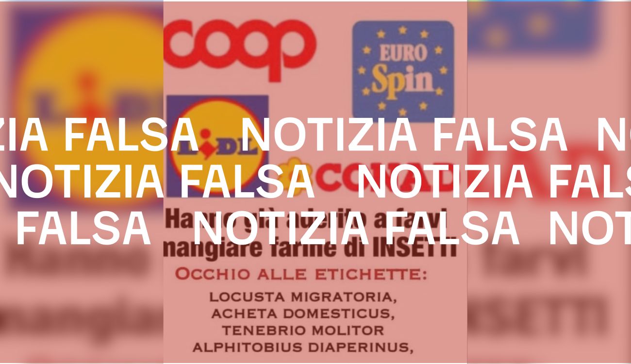 Notizia Falsa