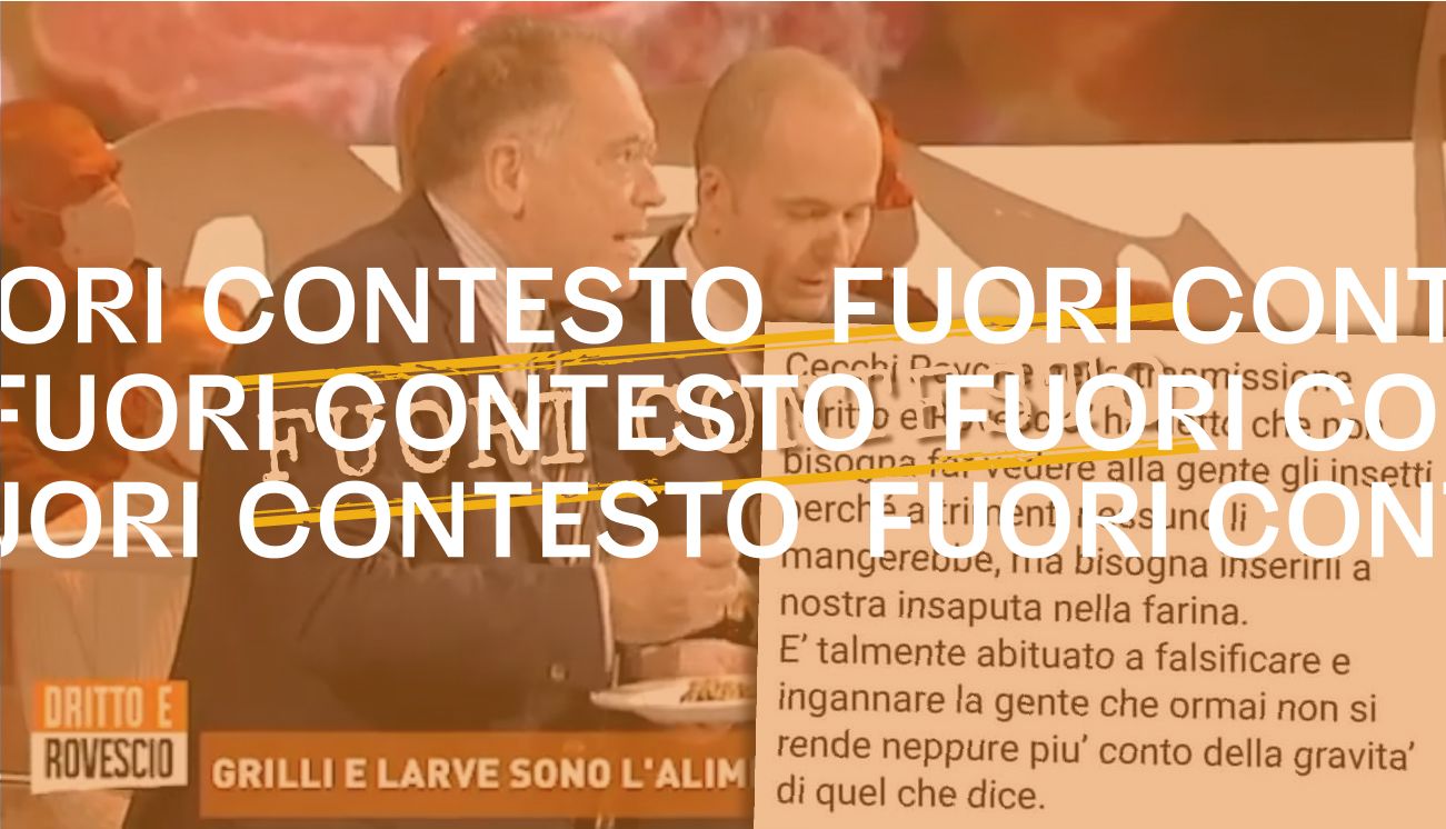 Cecchi Paone non ha detto che gli insetti vanno inseriti «a nostra insaputa nella farina»