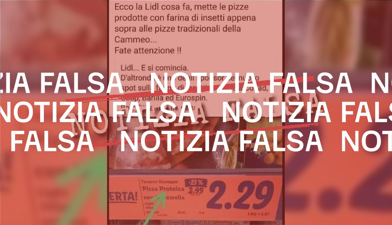 No, non c’è nessuna pizza proteica di Lidl prodotta con «farina di insetti»