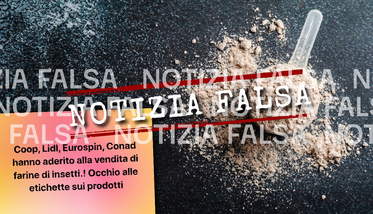 Notizia Falsa