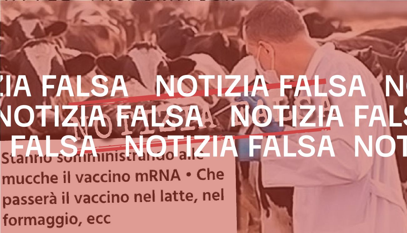 Notizia Falsa