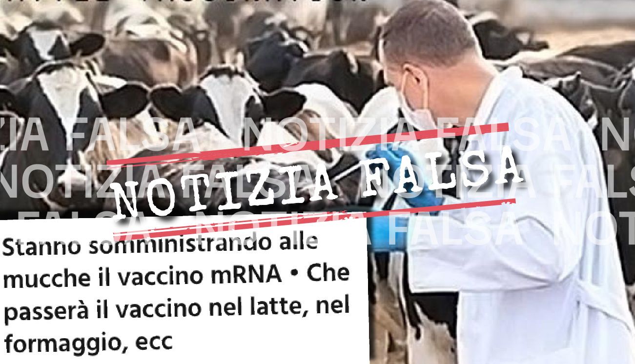 Notizia Falsa