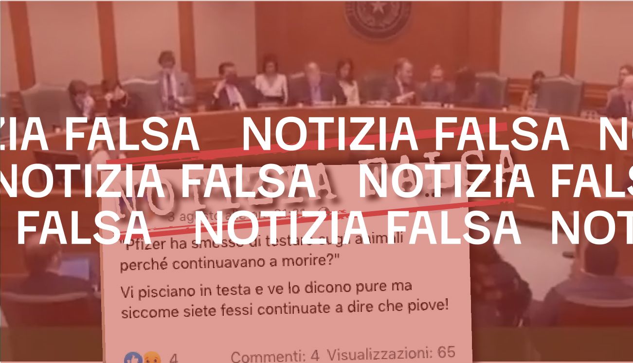 Notizia Falsa