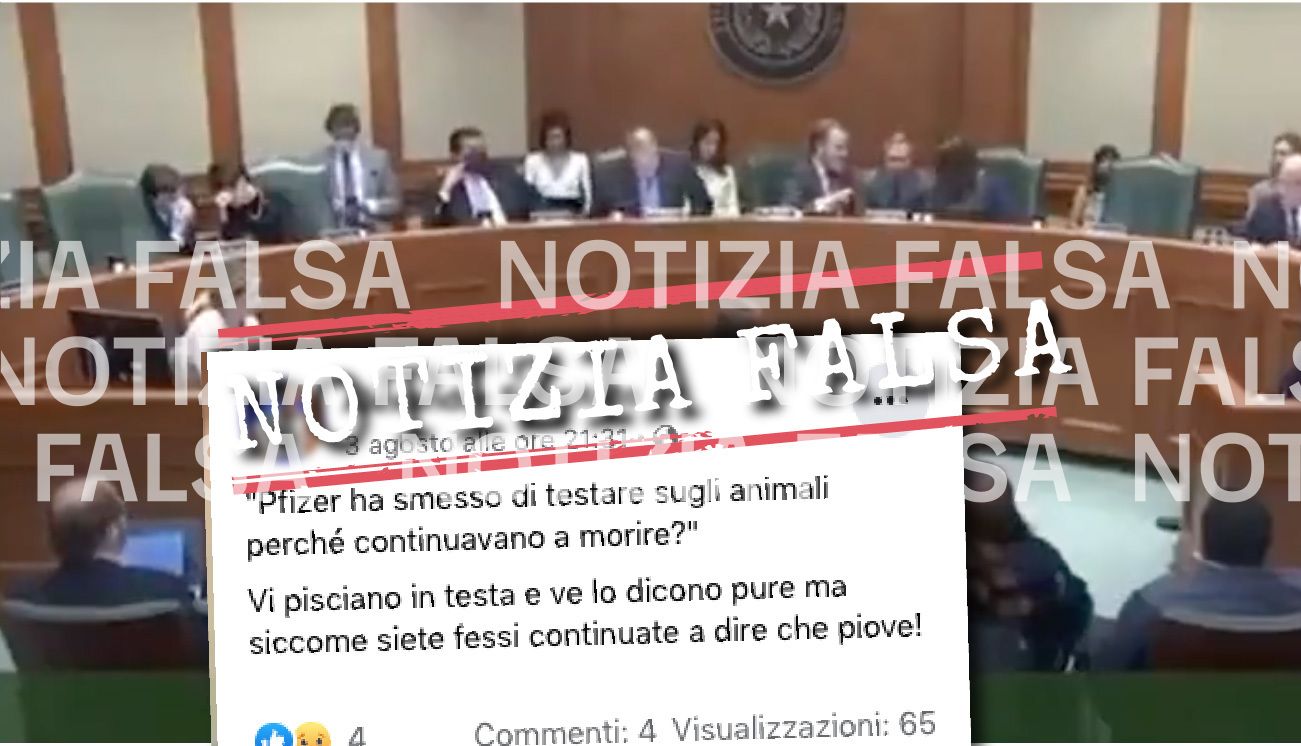 Notizia Falsa