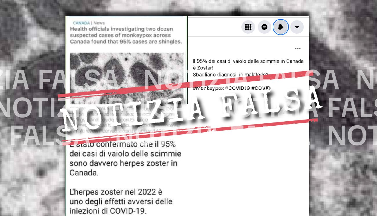 Notizia Falsa