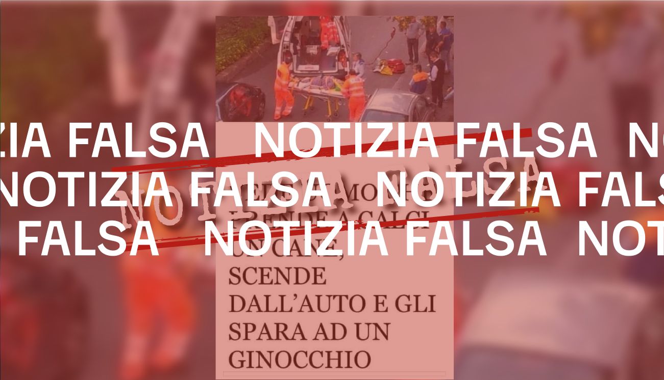 L’articolo sul gioielliere che spara a un uomo perché picchiava un cane è falso