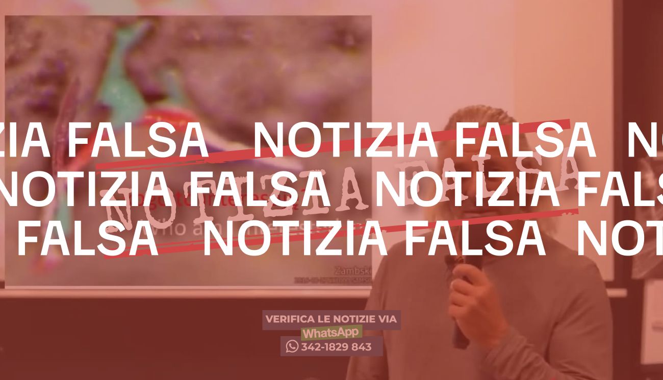 Notizia Falsa