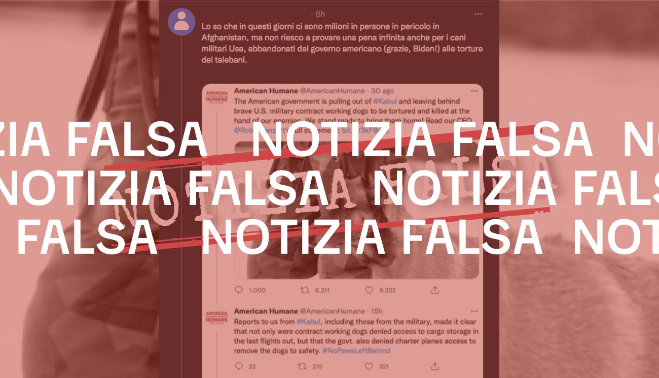 No, il governo americano non ha abbandonato in Afghanistan i «cani militari Usa»