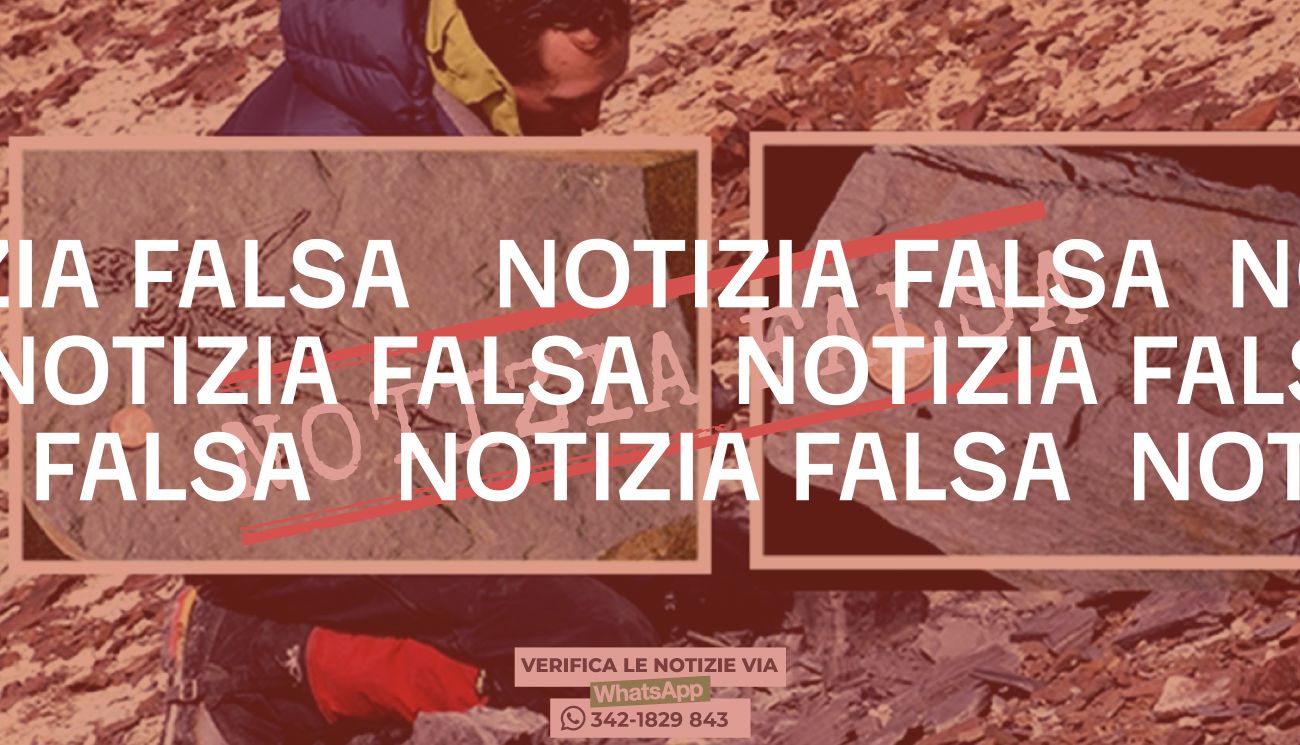 No, non è stato scoperto il fossile di un «umanoide» vecchio di 600 milioni di anni