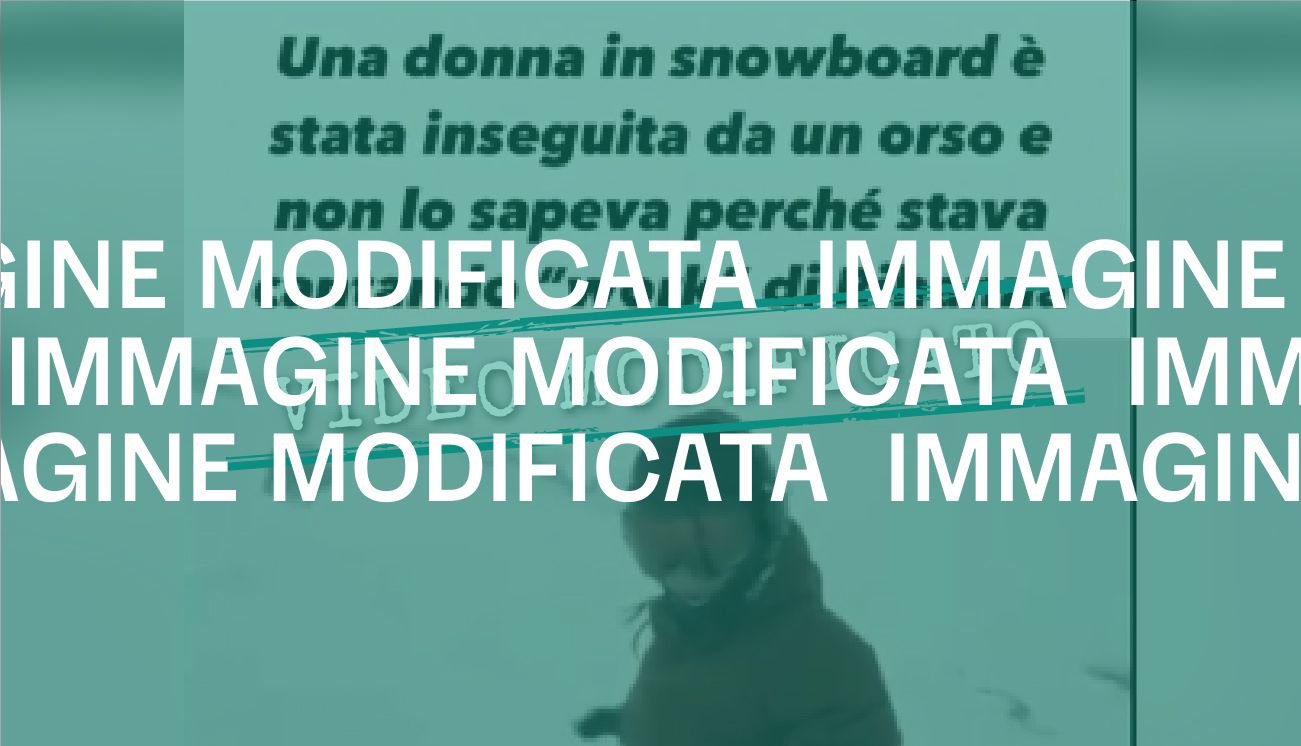 Il video di un orso che insegue una donna sulla neve è falso