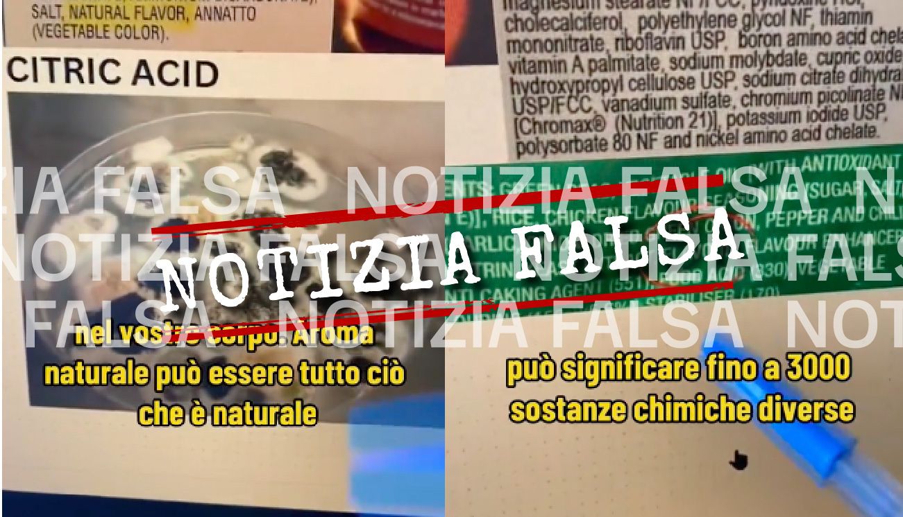 Notizia Falsa