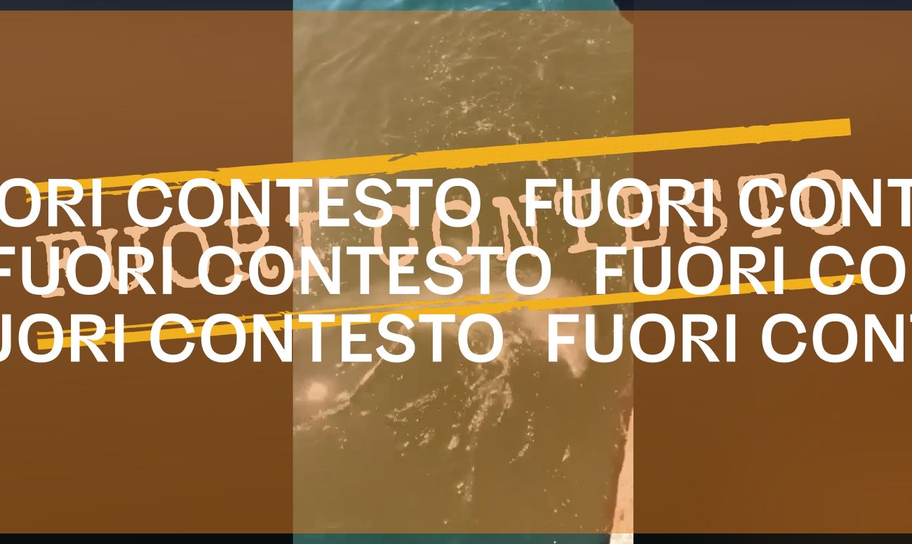 No, il video di un delfino che mangia un pesce che fa «la fine del coronavirus» non è stato girato a Trieste