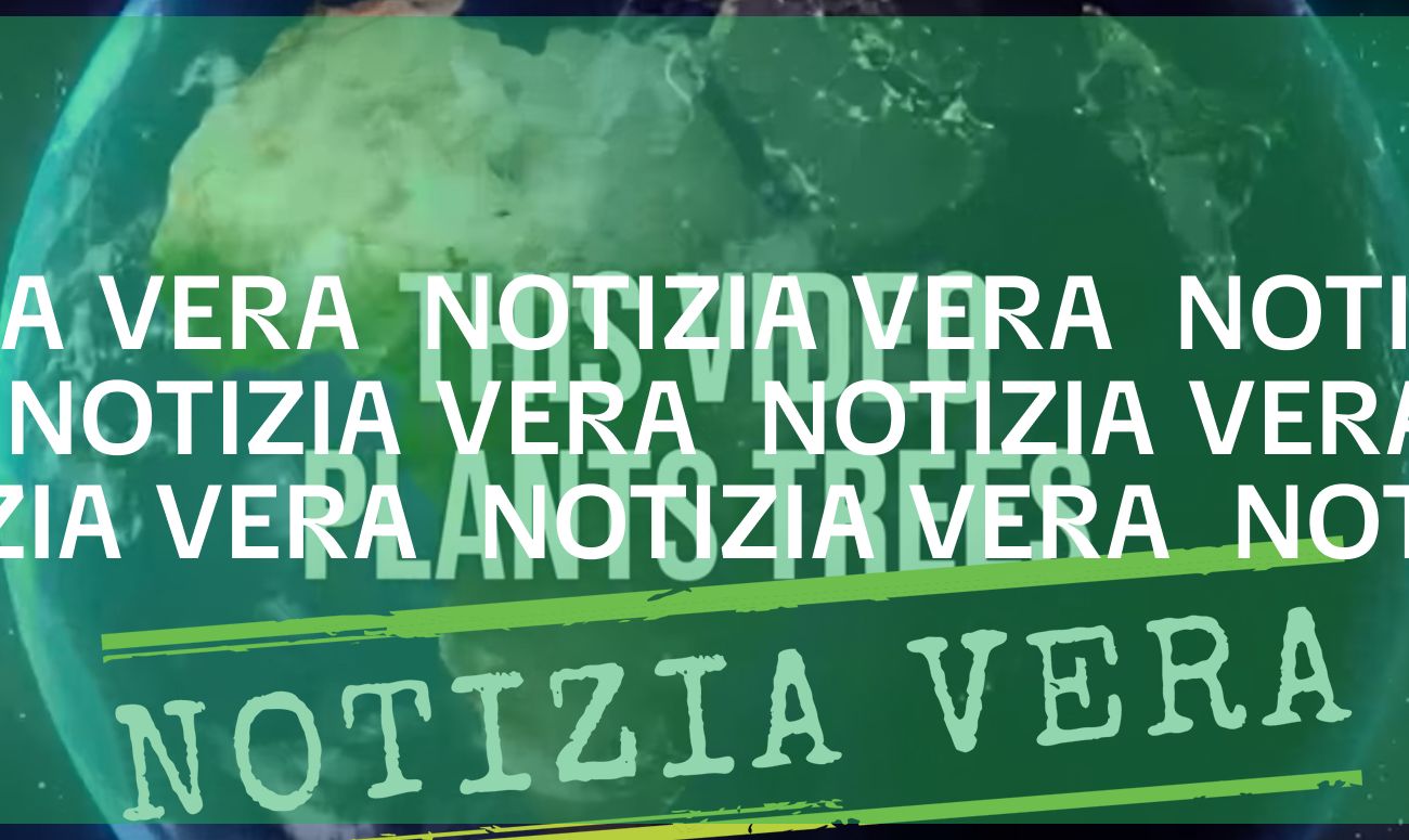 Il video che promette di piantare un albero ogni mille visualizzazioni è reale