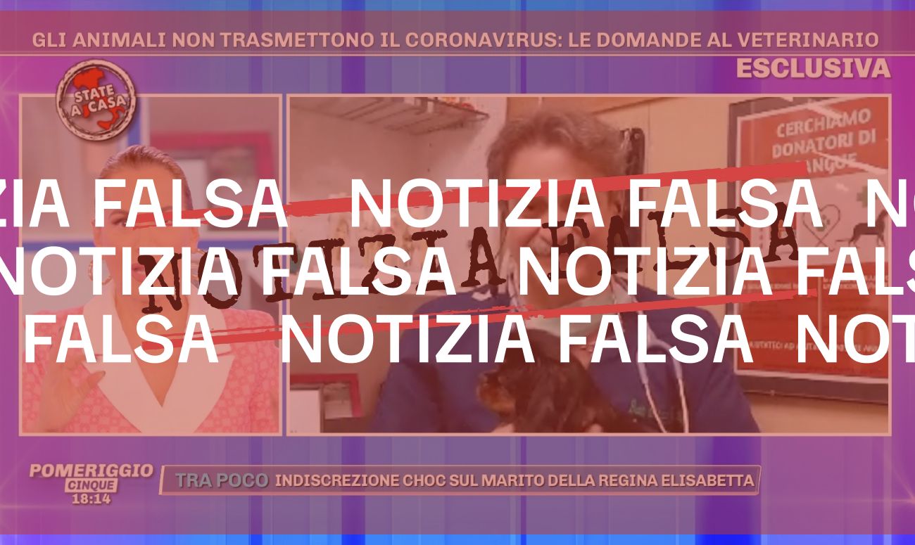 No, non dobbiamo lavare le zampe del nostro cane con la candeggina (neanche ora che c’è il coronavirus)