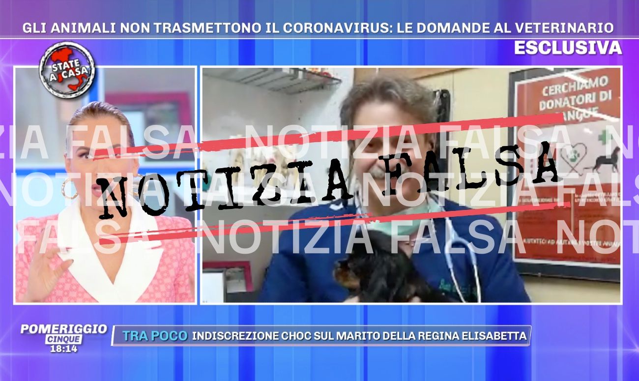 Notizia Falsa