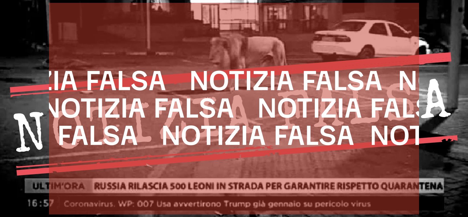 Notizia falsa: la Russia rilascia 500 leoni in strada per garantire il rispetto della quarantena