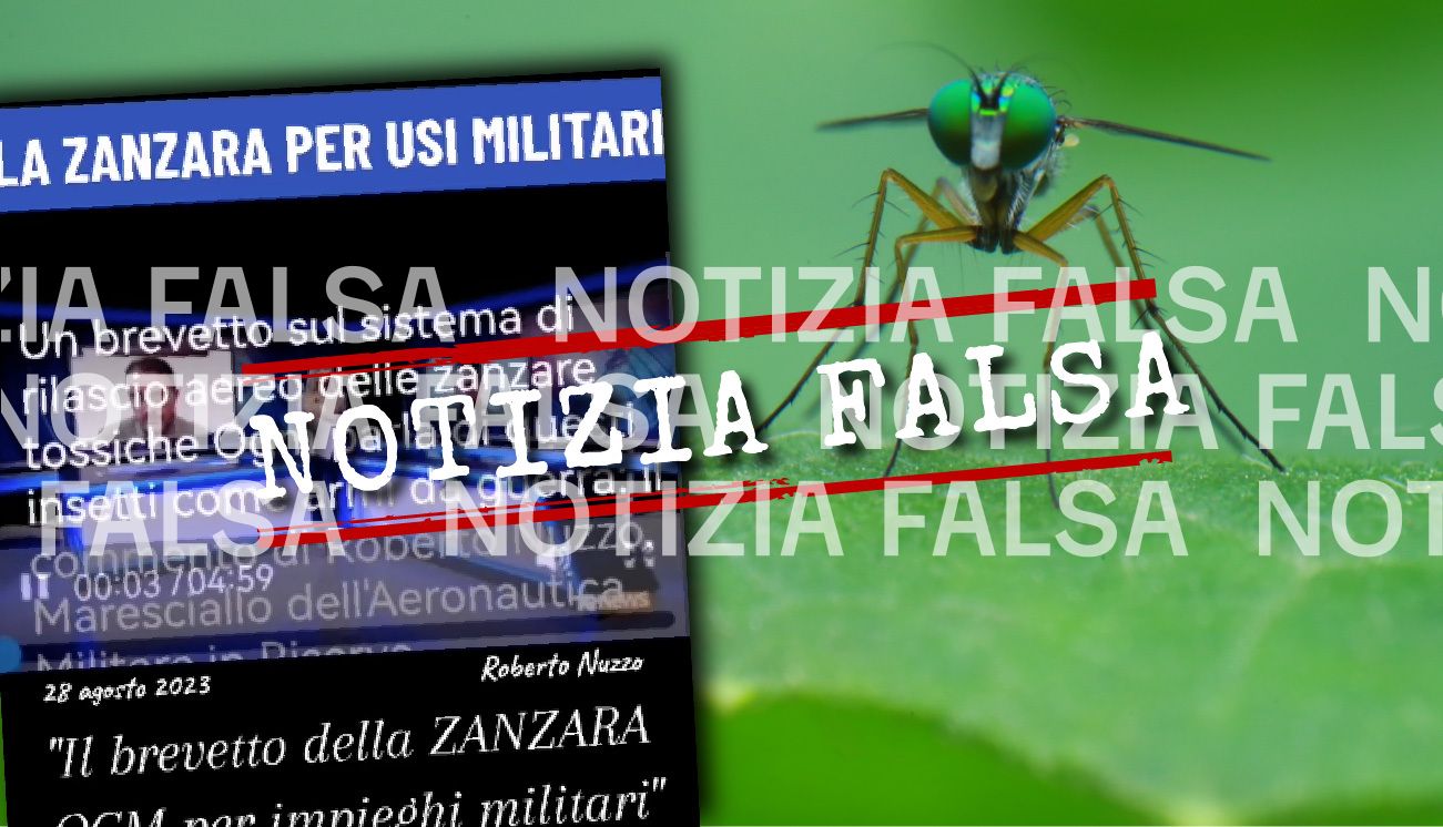 Notizia Falsa