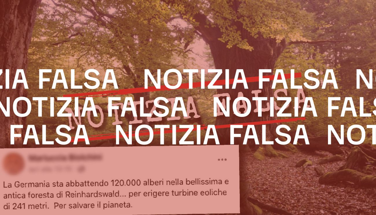 La Germania non abbatterà 120 mila alberi per costruire turbine eoliche in una foresta