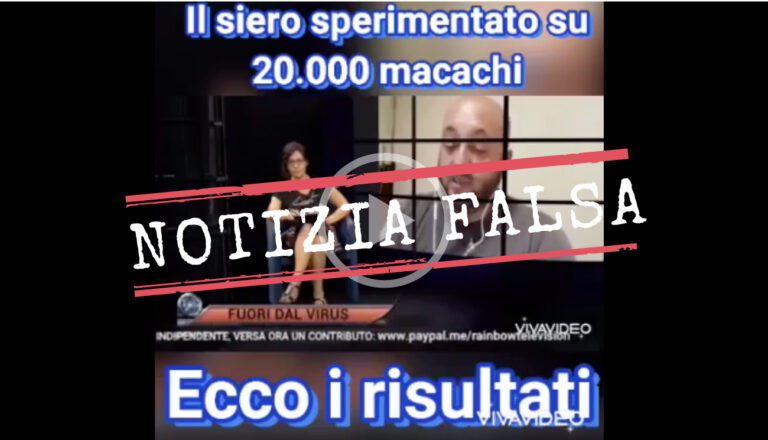 Il Siero Sperimentato Su 20.000 Macachi Ecco I Risultati