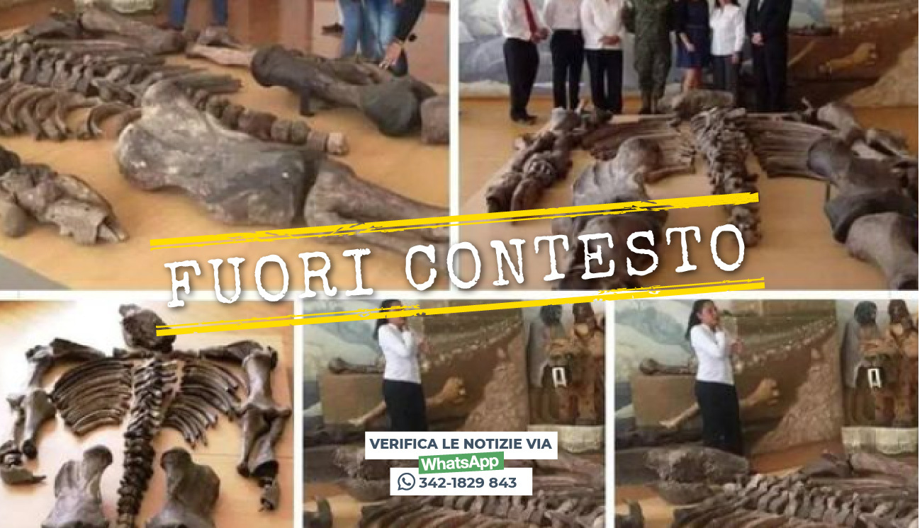 Questi non sono i resti di esseri umani giganti scoperti in Ecuador