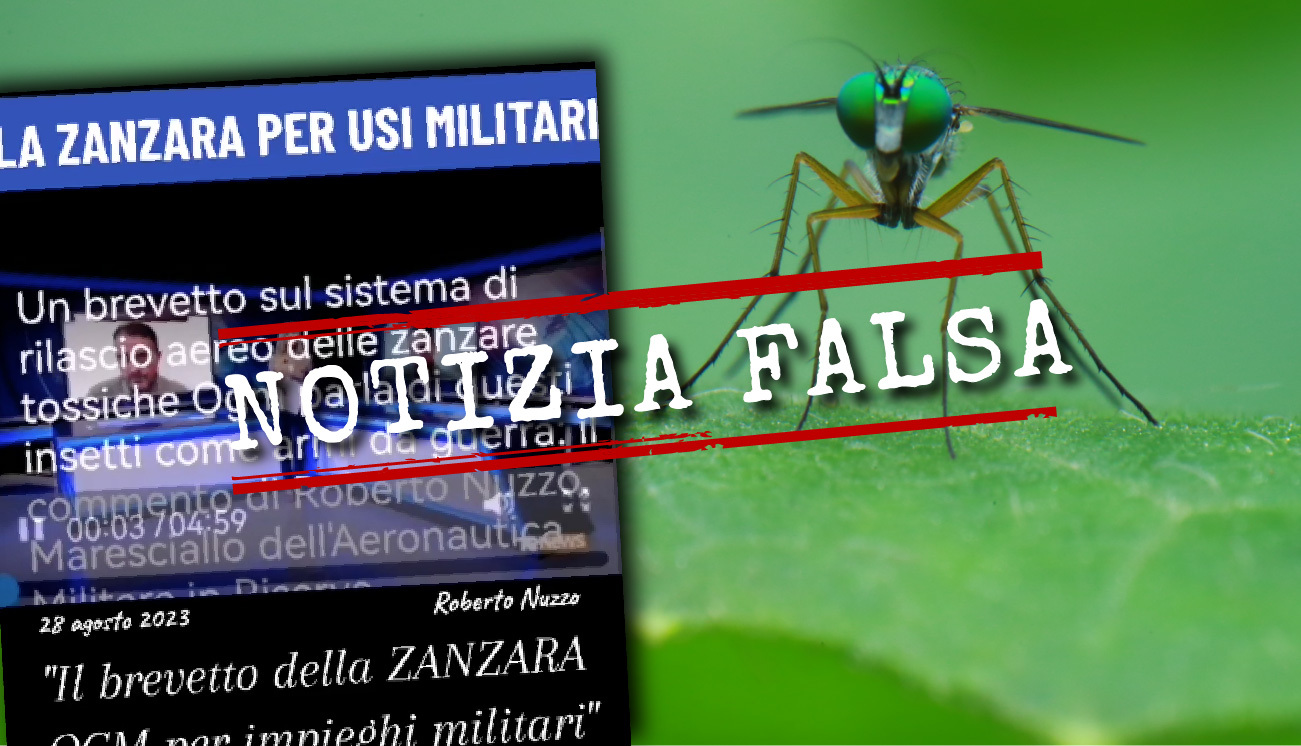 No le zanzare OGM non sono nuove armi da guerra Facta